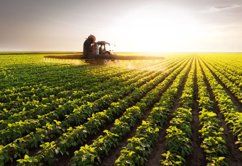 AgMerchant launched as new agriculture sector lender in South Africa