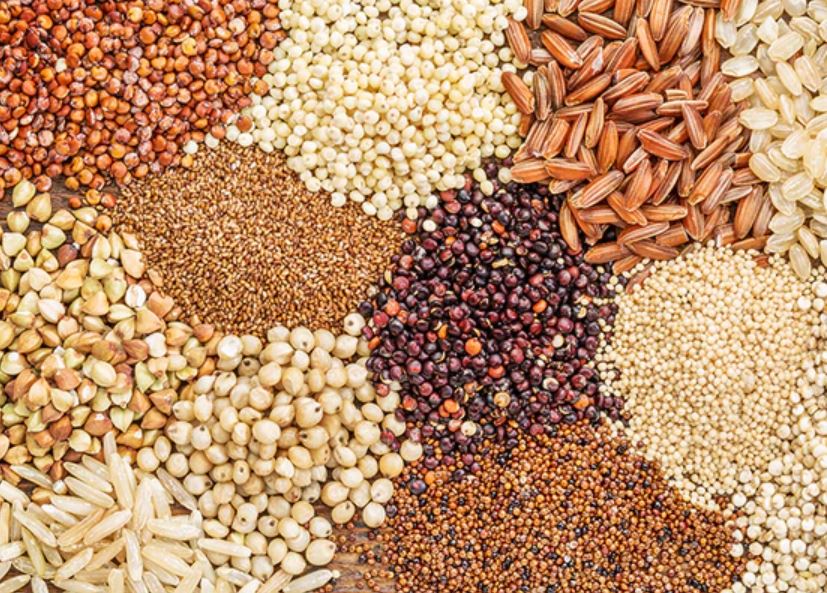 Uganda to host 10th Grain Trade Summit