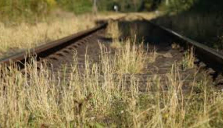 Nigeria to implement online monitoring of railway transportation