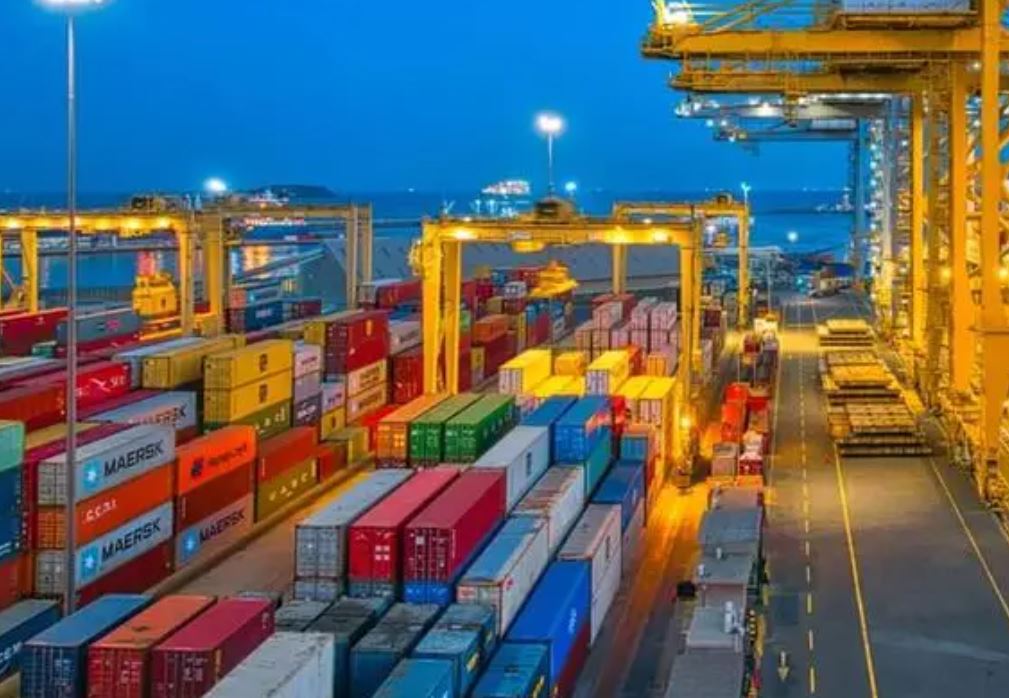 Egypt inaugurates US $60M Advanced Customs Logistics Centre